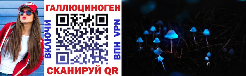 Псилоцибиновые грибы Psilocybine cubensis  Жердевка 